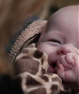 Filename=965.jpg
Filesize=96KiB
Dimensions=1920x800
Date added=Oct 27, 2025 965.jpg