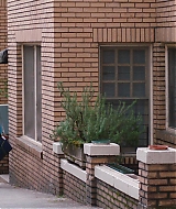 Filename=966.jpg
Filesize=395KiB
Dimensions=1920x800
Date added=Oct 27, 2025 966.jpg