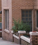 Filename=967.jpg
Filesize=375KiB
Dimensions=1920x800
Date added=Oct 27, 2025 967.jpg