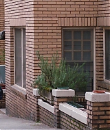 Filename=968.jpg
Filesize=345KiB
Dimensions=1920x800
Date added=Oct 27, 2025 968.jpg